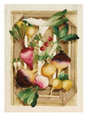 Canovaccio potager ravanelli | Tessitura Toscana Telerie