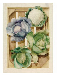 Canovaccio potager cavoli | Tessitura Toscana Telerie